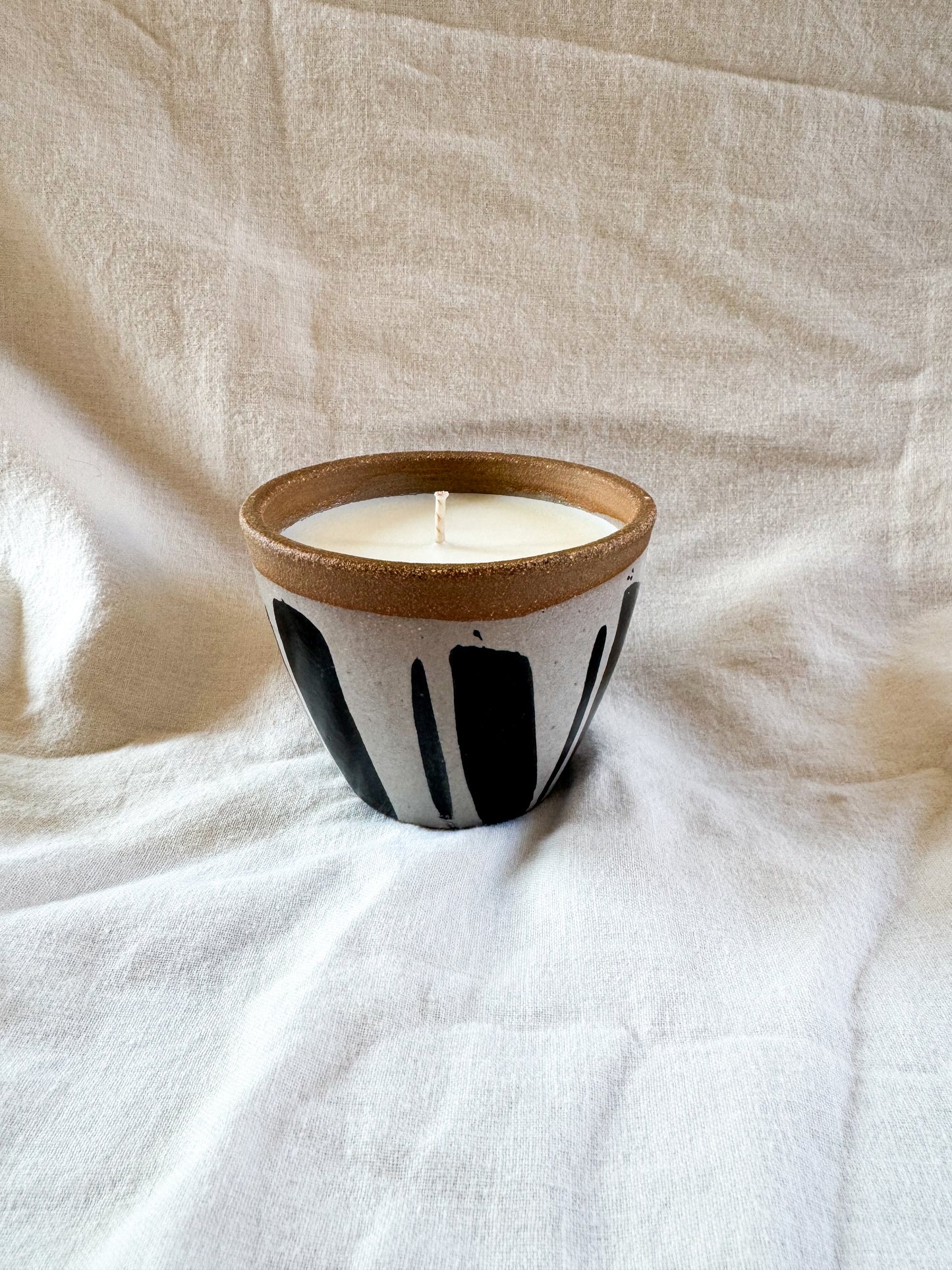 Wassail + White Birch Candle